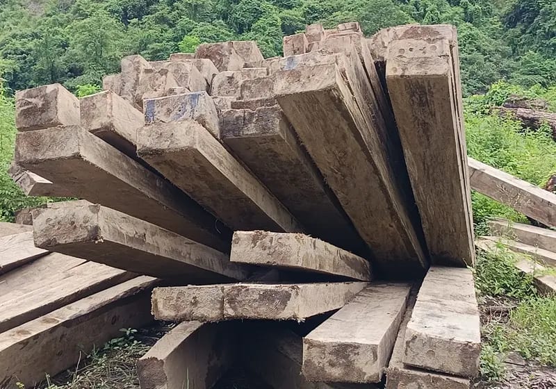 Sawn timber logs and planks stacked at the yard
