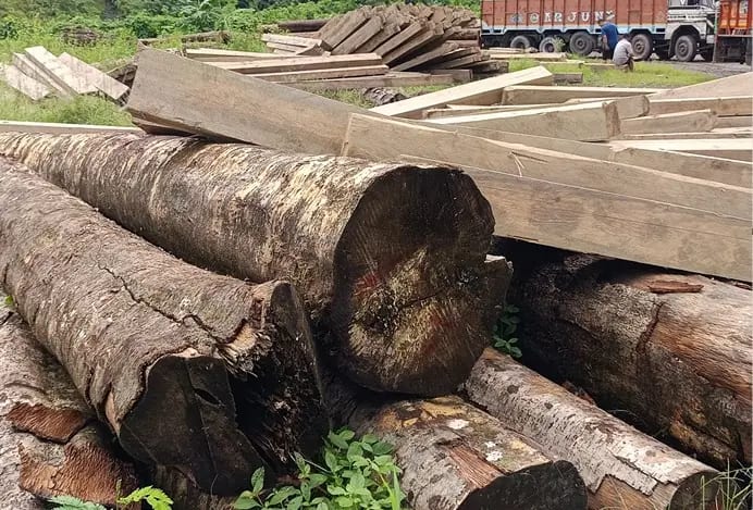 Stacked sawn timber beams ready for delivery